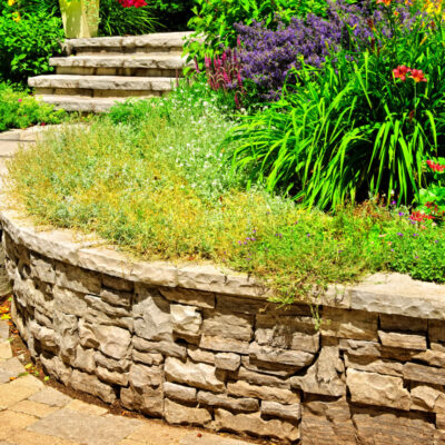 Hardscape vs Softscape: What’s The Difference?