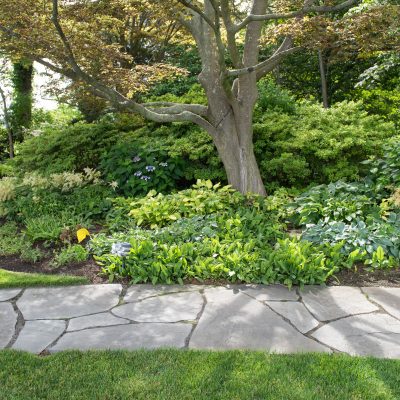 New Year, New Yard: Landscape Planning Tips for 2025