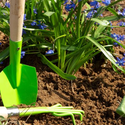 5 Benefits of Hiring a Professional Landscaper in Winter  