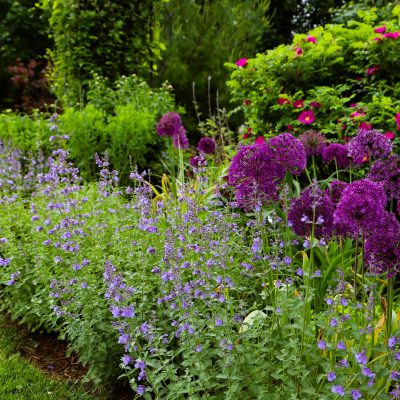 How to Add Color and Beauty to Your Outdoor Space
