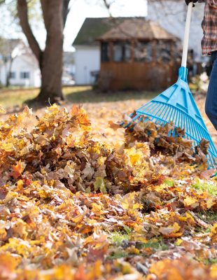 What Should I Do with Fall Leaves?
