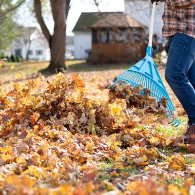 What Should I Do with Fall Leaves?