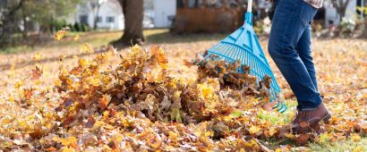 What Should I Do with Fall Leaves?