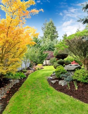 Which Hardscaping Features Are Right for Your Home?