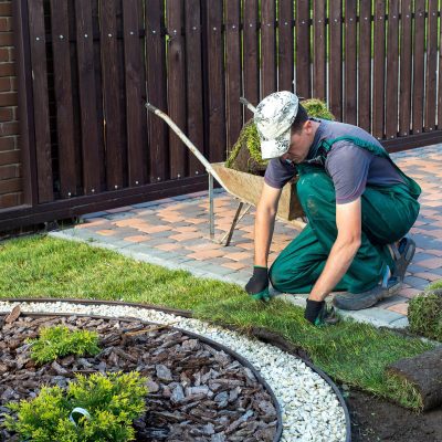 What Is Minimalist Landscaping?