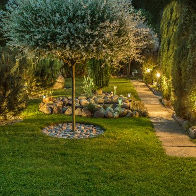 How Can I Use Landscaping to Make My Yard More Private Without a Fence?