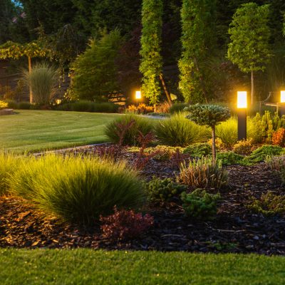 Is Smart Landscape Lighting Worth the Investment?