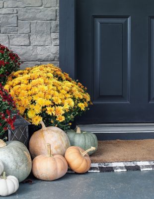 How Do I Choose the Right Plants for Seasonal Color in My Yard?