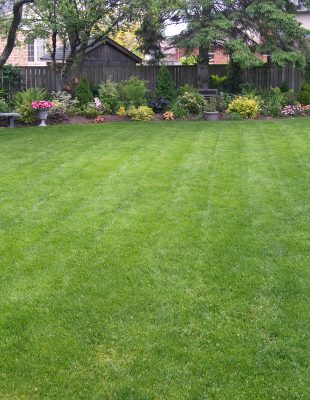How Can You Design a Safe and Kid-Friendly Backyard Landscape?