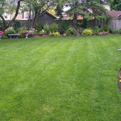 How Can You Design a Safe and Kid-Friendly Backyard Landscape?