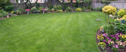 How Can You Design a Safe and Kid-Friendly Backyard Landscape?
